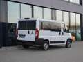 Fiat Ducato L2H1 140 / 9-Sitzer + Klimaautomatik Blanc - thumbnail 2