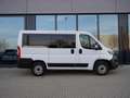 Fiat Ducato Kombi L1H1 140 / 9-Sitzer White - thumbnail 3