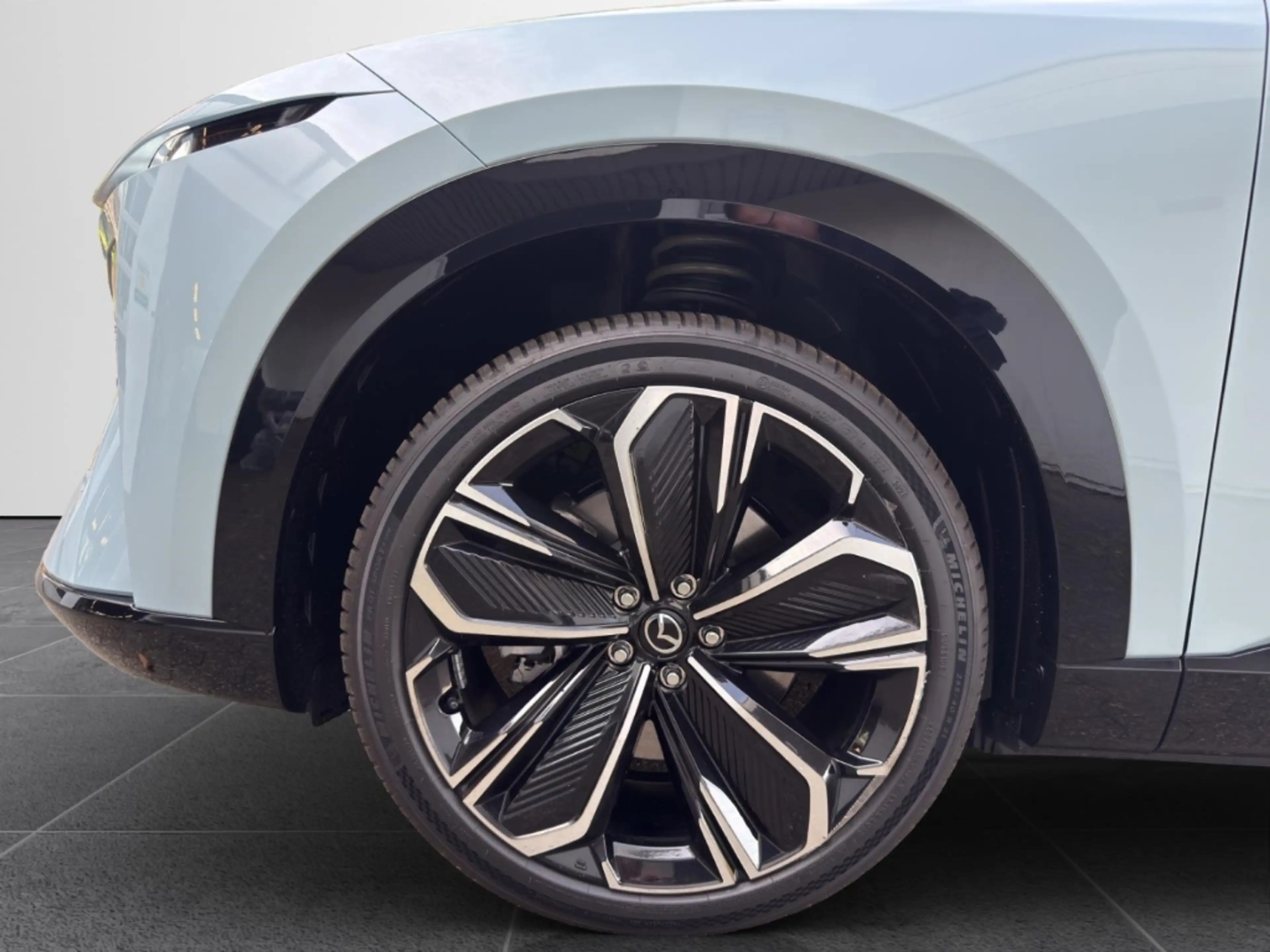 Mazda CX-6e EV 258ps 1AT RWD Takumi BKTR PABS — photo 15