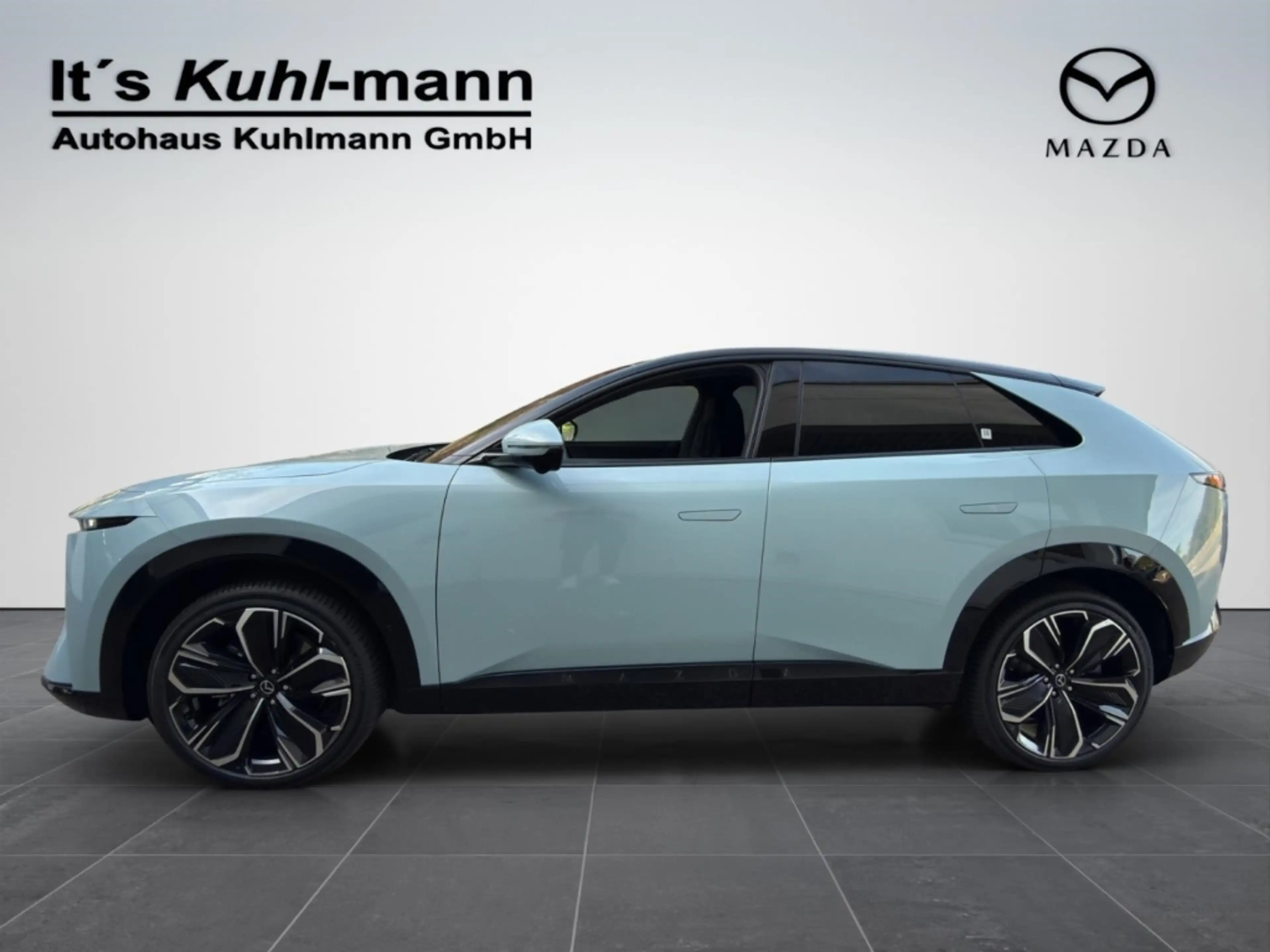 Mazda CX-6e EV 258ps 1AT RWD Takumi BKTR PABS — photo 3