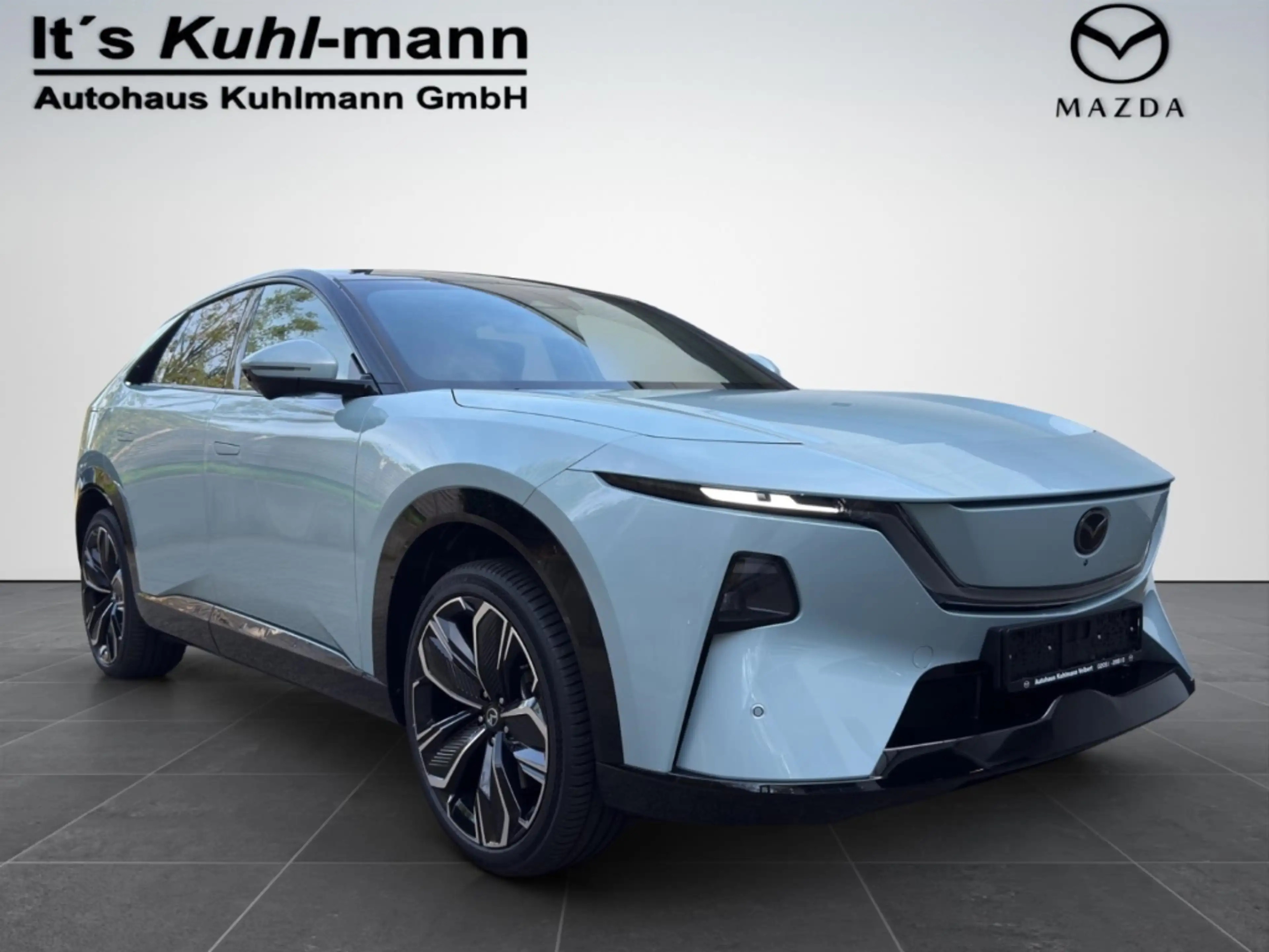 Mazda CX-6e EV 258ps 1AT RWD Takumi BKTR PABS — photo 8