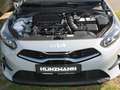 Kia Ceed SW / cee'd SW Ceed SW 1.5T Nightline Navi Kamera Lenkradhzg Grijs - thumbnail 20