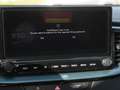 Kia Ceed SW / cee'd SW Ceed SW 1.5T Nightline Navi Kamera Lenkradhzg Grijs - thumbnail 13