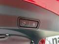 Alfa Romeo Stelvio 2.9 V6 QUADRIFOGLIO Q4 510CV AUTO Rouge - thumbnail 50