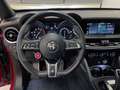 Alfa Romeo Stelvio 2.9 V6 QUADRIFOGLIO Q4 510CV AUTO Rouge - thumbnail 9
