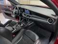 Alfa Romeo Stelvio 2.9 V6 QUADRIFOGLIO Q4 510CV AUTO Rouge - thumbnail 43