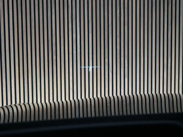 Mercedes-Benz S-Class view 19