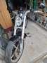 Harley-Davidson VRSC V-Rod V-Rod Muscle Negro - thumbnail 5