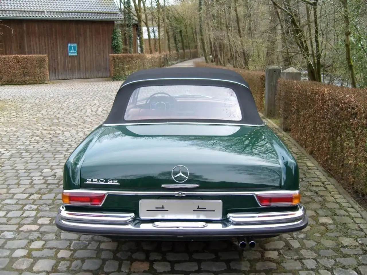 Mercedes-Benz 250 SE Cabriolet, foto 5