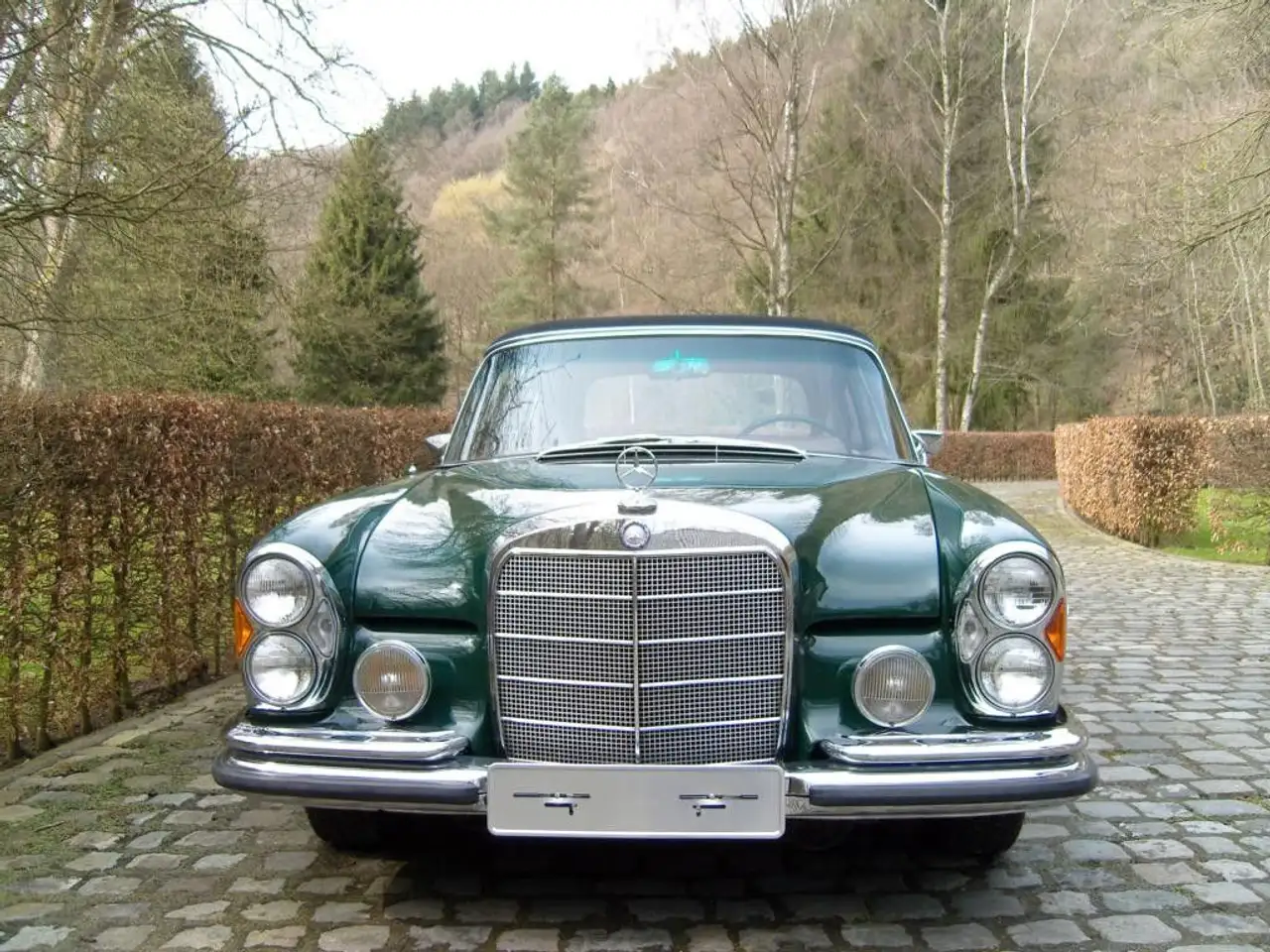 Mercedes-Benz 250 SE Cabriolet, foto 3