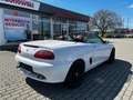 Rover Rover MGF Cabrio Weiß - thumbnail 9
