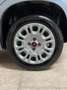 Fiat Panda Panda 1.2 Connected by Wind s Grigio - thumbnail 4