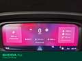 Skoda Octavia wagon 1.5 tsi selection 150cv Weiß - thumbnail 9
