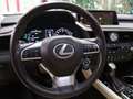 Lexus RX 450h Executive Bleu - thumbnail 36