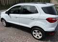 Ford EcoSport 1.5 tdci Plus awd s&s 125cv - thumbnail 4