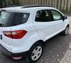 Ford EcoSport 1.5 tdci Plus awd s&s 125cv - thumbnail 3