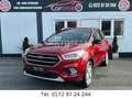 Ford Escape 1,5 EcoBoost*LEDER*AUTOMATIK*KAMERA*AHK* Czerwony - thumbnail 4