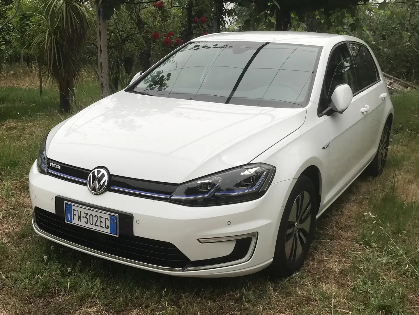 Volkswagen e-Golf e-Golf VII 2017 Elettrica 5p e-Golf 5p Bianco - 1