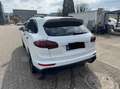 Porsche Cayenne Cayenne S Diesel Tiptronic S Weiß - thumbnail 4