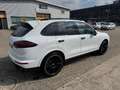 Porsche Cayenne Cayenne S Diesel Tiptronic S Weiß - thumbnail 5