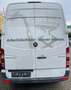 Mercedes-Benz Sprinter 313 CDI Kasten L2H2 906.633 Motorschaden VAT Weiß - thumbnail 7
