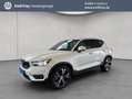 Volvo XC40 XC40 T5 Twin-Engine Inscription DKG Glasd BLIS Weiß - thumbnail 1