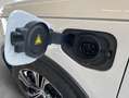 Volvo XC40 XC40 T5 Twin-Engine Inscription DKG Glasd BLIS Weiß - thumbnail 29