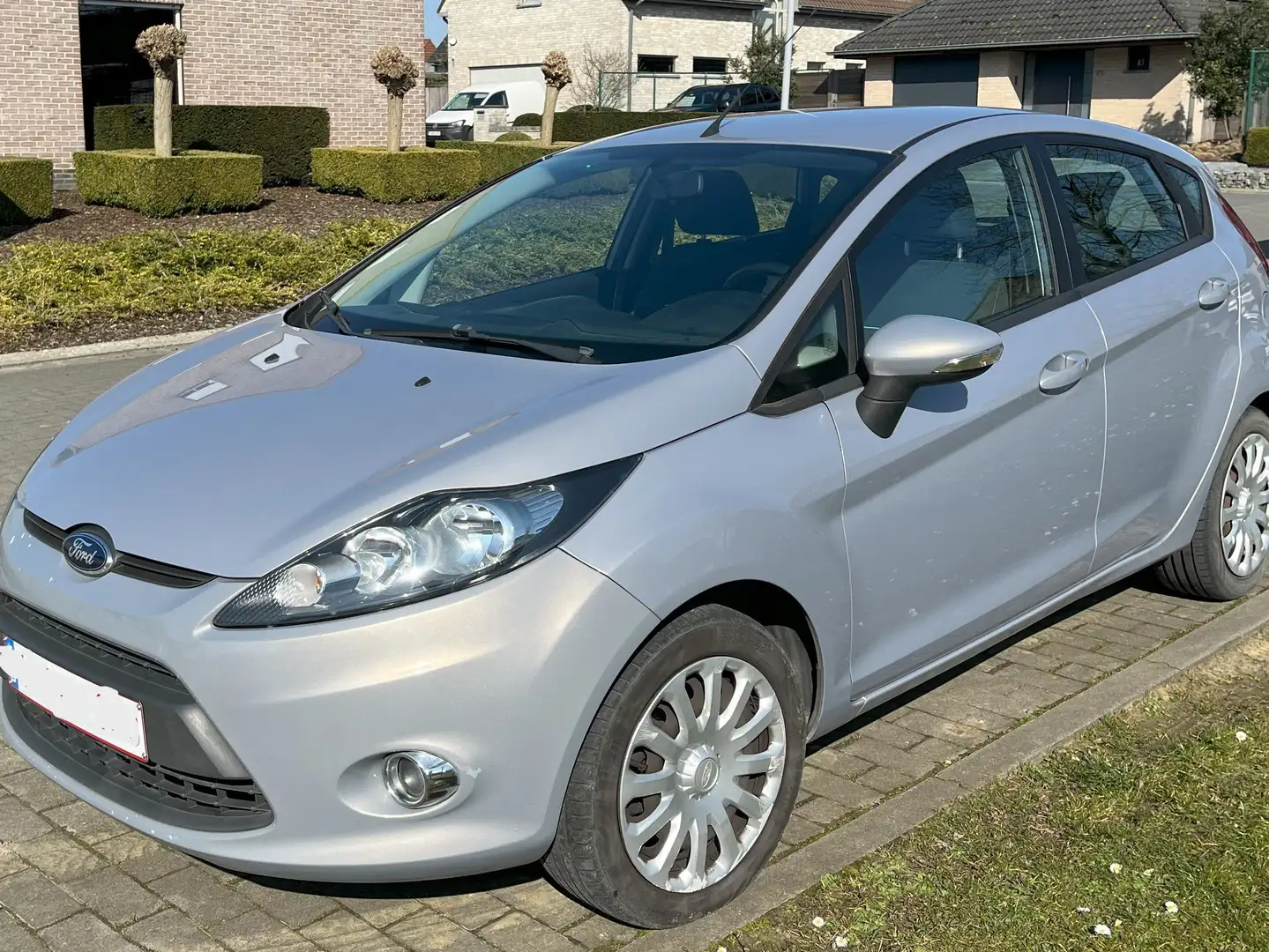 Ford Fiesta Fiesta 1.4 TDCi Trend Grijs - 1