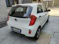 Kia Picanto 1.0 benzina 5pt Bianco - thumbnail 4