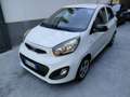 Kia Picanto 1.0 benzina 5pt Bianco - thumbnail 1
