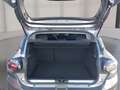 Dacia Sandero Stepway PH2 Extreme TCe 110 Grau - thumbnail 12