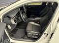 Toyota C-HR 1.8 Hybrid Business Plus / Leder / 10dkm / Navi Wit - thumbnail 6