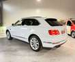 Bentley Bentayga 6.0 W12*PANO*608PS*4x4*360°*FULL bijela - thumbnail 7