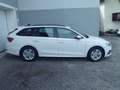 Skoda Octavia Ambition 2.0 TDI 150 PS, STANDHZ, PANODACH, NAVI, LED Weiß - thumbnail 2