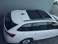 Skoda Octavia Ambition 2.0 TDI 150 PS, STANDHZ, PANODACH, NAVI, LED Weiß - thumbnail 23