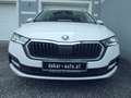 Skoda Octavia Ambition 2.0 TDI 150 PS, STANDHZ, PANODACH, NAVI, LED Weiß - thumbnail 4