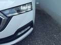 Skoda Octavia Ambition 2.0 TDI 150 PS, STANDHZ, PANODACH, NAVI, LED Weiß - thumbnail 5