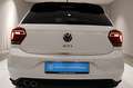 Volkswagen Polo GTI 2.0 TSI DSG NAVI PANO SHZ ACC SPORTFW Klima Navi Blanco - thumbnail 5