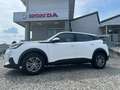 Peugeot 2008 2008 II 2020 1.2 puretech Active Pack s Bianco - thumbnail 1
