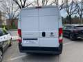 Fiat Ducato 30 2.3 MJT 160CV PM-TM Furgone Blanc - thumbnail 6