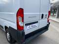 Fiat Ducato 30 2.3 MJT 160CV PM-TM Furgone Blanc - thumbnail 8