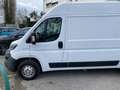 Fiat Ducato 30 2.3 MJT 160CV PM-TM Furgone Blanc - thumbnail 2