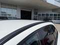 Mercedes-Benz C 220 d 4matic Weiß - thumbnail 20