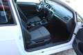 Volkswagen Golf 1.6 TDI DPF Weiß - thumbnail 6