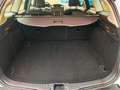 Ford Focus 2.0 tdci Titanium 115cv powershift Bianco - thumbnail 10