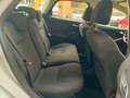 Ford Focus 2.0 tdci Titanium 115cv powershift Bianco - thumbnail 11