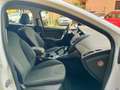 Ford Focus 2.0 tdci Titanium 115cv powershift Bianco - thumbnail 13