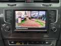 Volkswagen Golf VII Alltrack Variant 4Motion *LEDER/STHZ* Blu/Azzurro - thumbnail 15