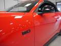 Ford Mustang 5.0 Ti-VCT V8 331KW  GT AT(Conv.) Rojo - thumbnail 11