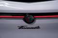 Alfa Romeo Tonale 1.3 PHEV TI Q4 Aut.*Premium*Matrix*Assist Білий - thumbnail 7